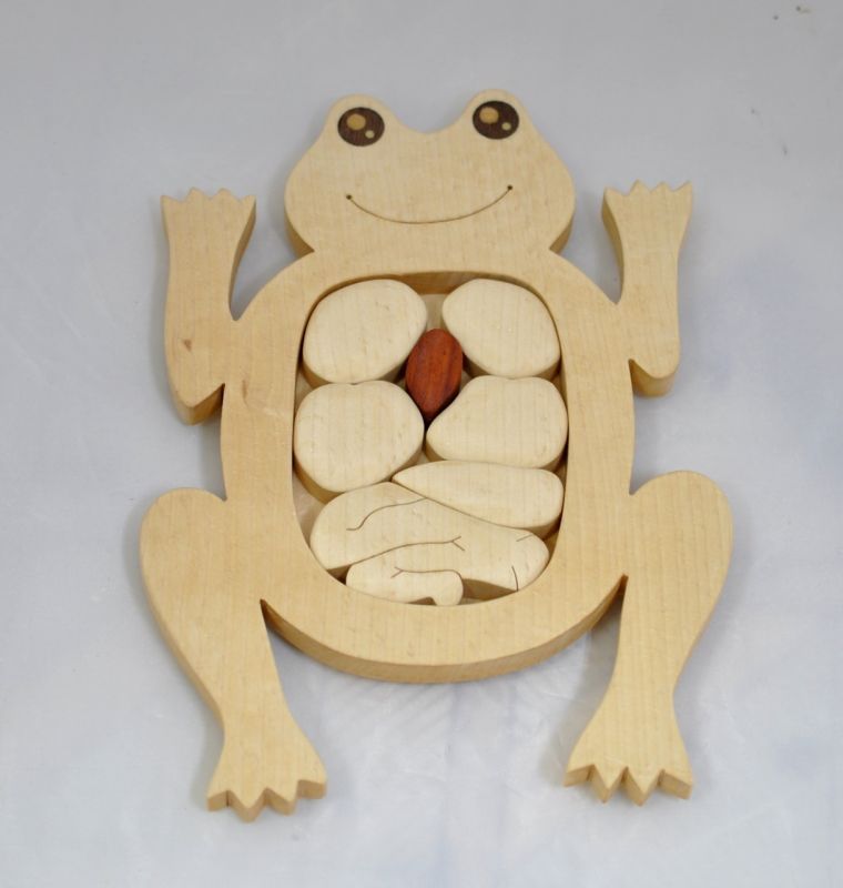 カエルの解剖パズル（シンプルタイプ）
